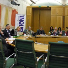 Working with other MPs and parliament